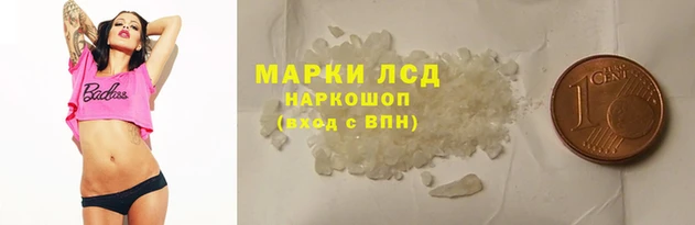 a pvp Белокуриха