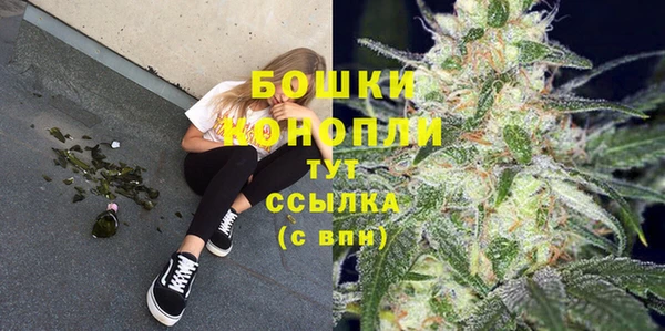 a pvp Белокуриха