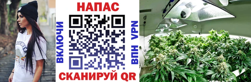 Купить  Вытегра  Шишки марихуана AK-47 